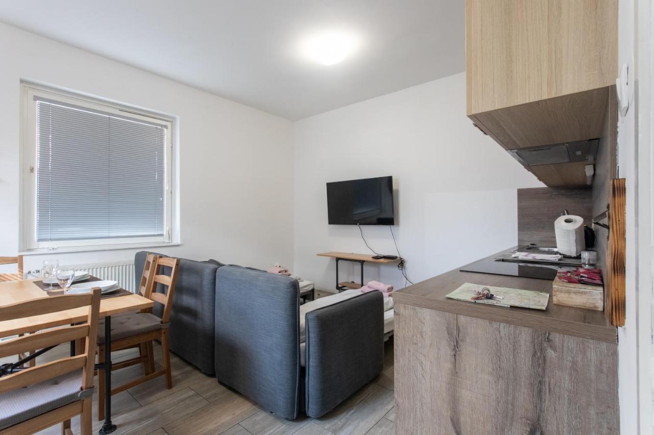 Big Pipe Apartment Любляна Екстер'єр фото